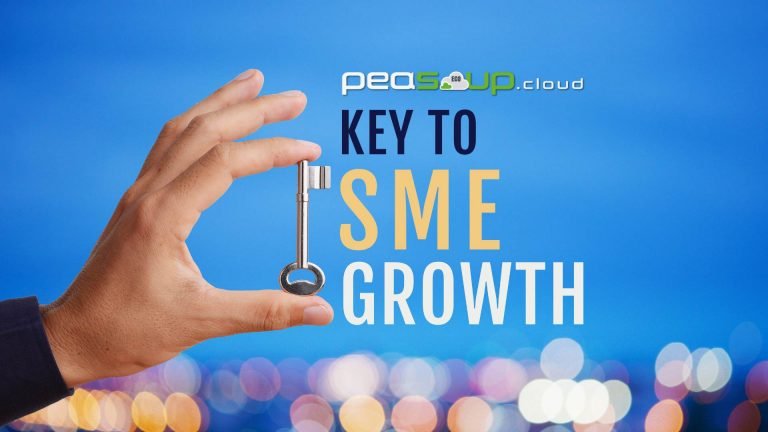 Leveraging Cloud Computing and Innovative Technologies for Sustainable Growth in Small and Medium Enterprises