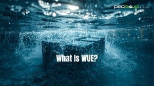Industry Insights 9 What Is WUE?